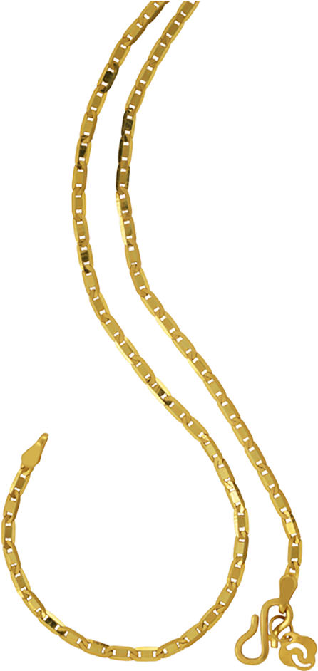Orra Gold Chain (1200x1000), Png Download