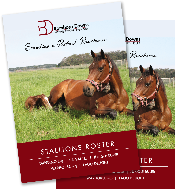 Stallion Broch - Sorrel (900x900), Png Download