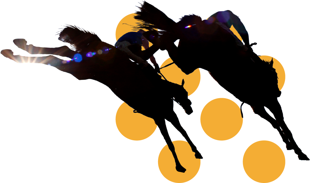 In The Paddock - Illustration (1087x674), Png Download