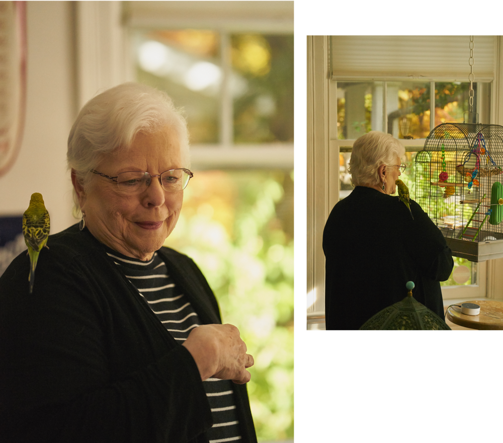 2 Sandy-collage (1000x880), Png Download
