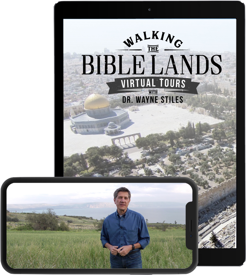 Grass (839x952), Png Download