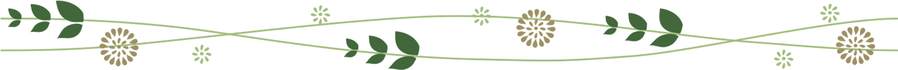 Decorative Line - 植物 分隔 線 (2000x2000), Png Download