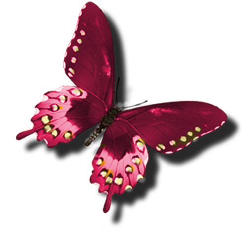 Butterfly Clip Art, Red Butterfly, Beautiful Butterflies, - Butterfly Burgundy Png (600x602), Png Download