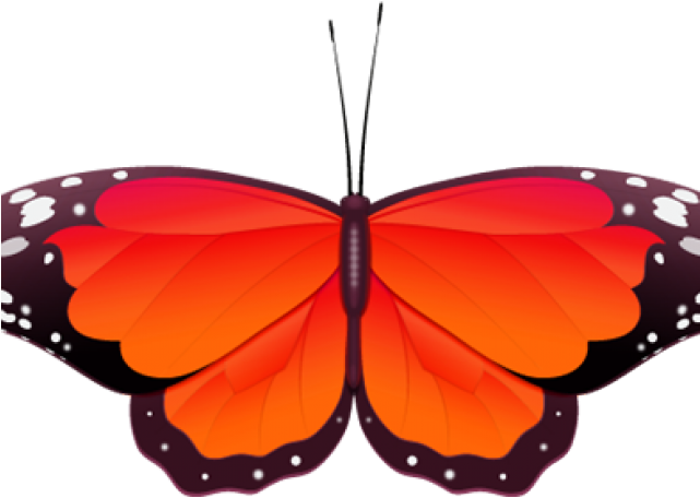Monarch Butterfly Clipart Red - Red And Orange Butterfly (640x480), Png Download