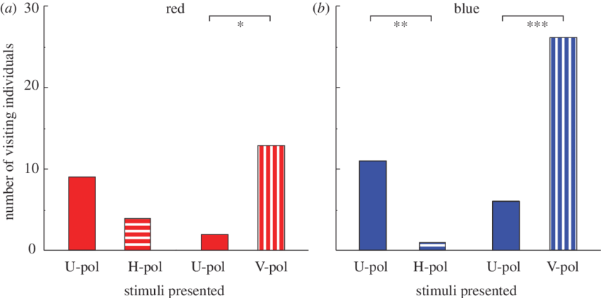 Innate Preference Of Naive Butterflies Tested With - Diagram (850x422), Png Download