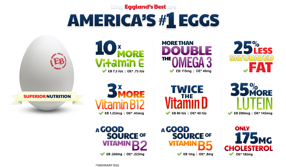 Eggland Banner - Oval (960x561), Png Download