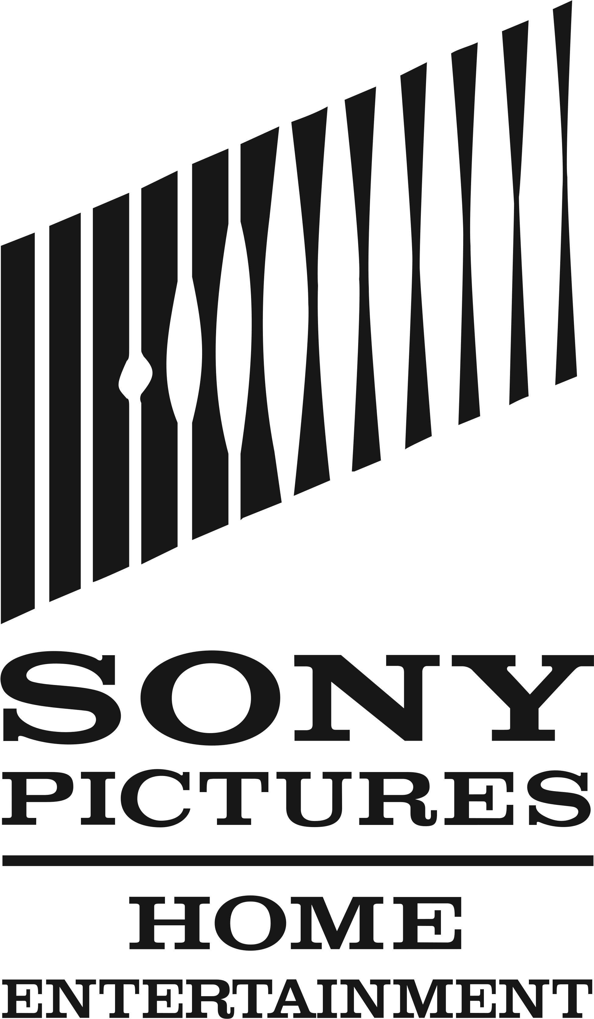 2000 X 3400 6 - Sony Home Entertainment Logo Png (2000x3400), Png Download