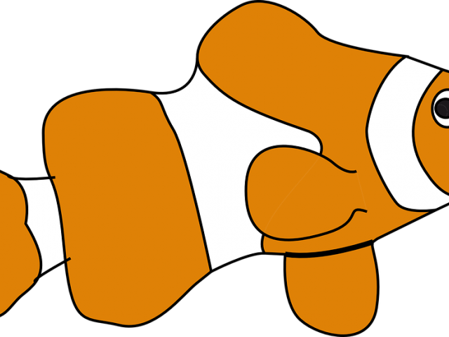 Download Goldfish Clipart Nemo Fish - Cartoon Clownfish Png PNG Image with No Background Download Goldfish Clipart Nemo Fish - Cartoon Clownfish Png PNG Image with No Background