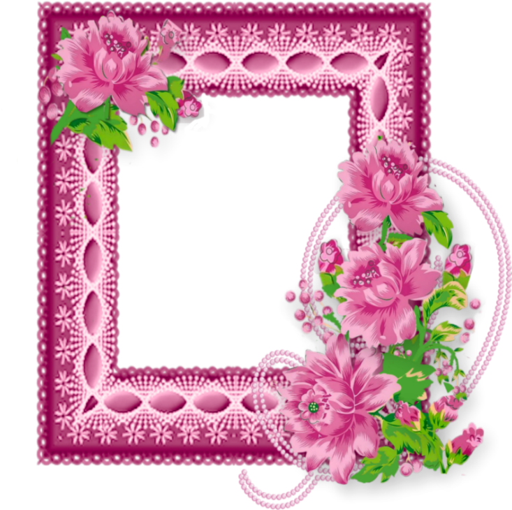 Printable Frames, Pink Daisy, Flower Frame, Paper Frames, - Picture Frame (733x730), Png Download