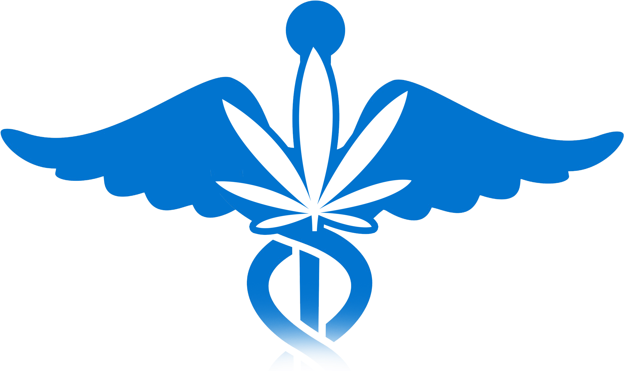 Schwartz Medical Group Has Been Approved By The Commonwealth - Emblem (2190x1271), Png Download