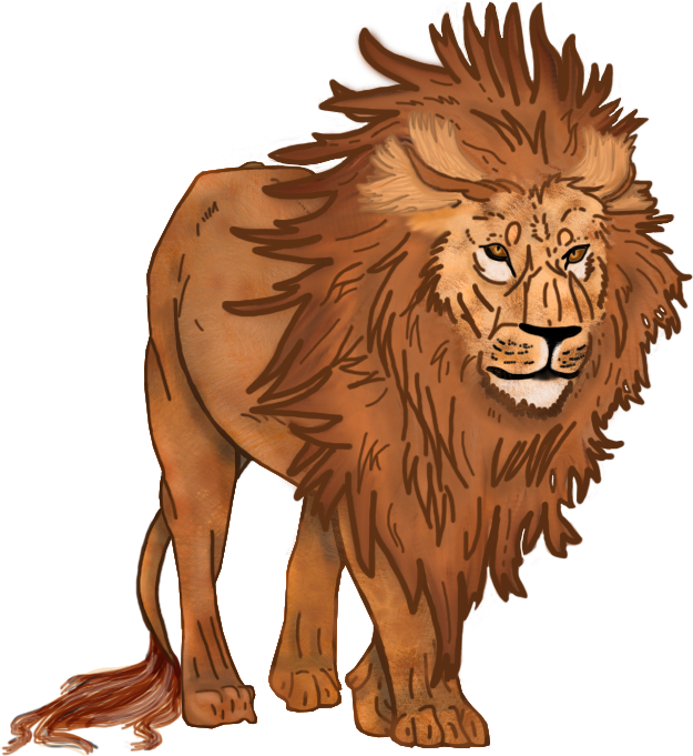Lion - Masai Lion (891x680), Png Download