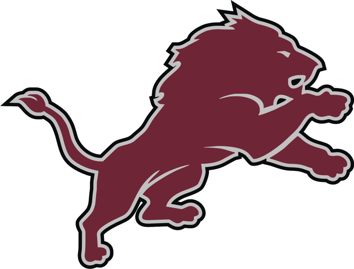 Lion - Nfl Detroit Lions (1200x913), Png Download