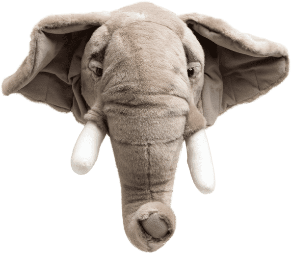 Cabeça De Elefante Pelucia (640x640), Png Download