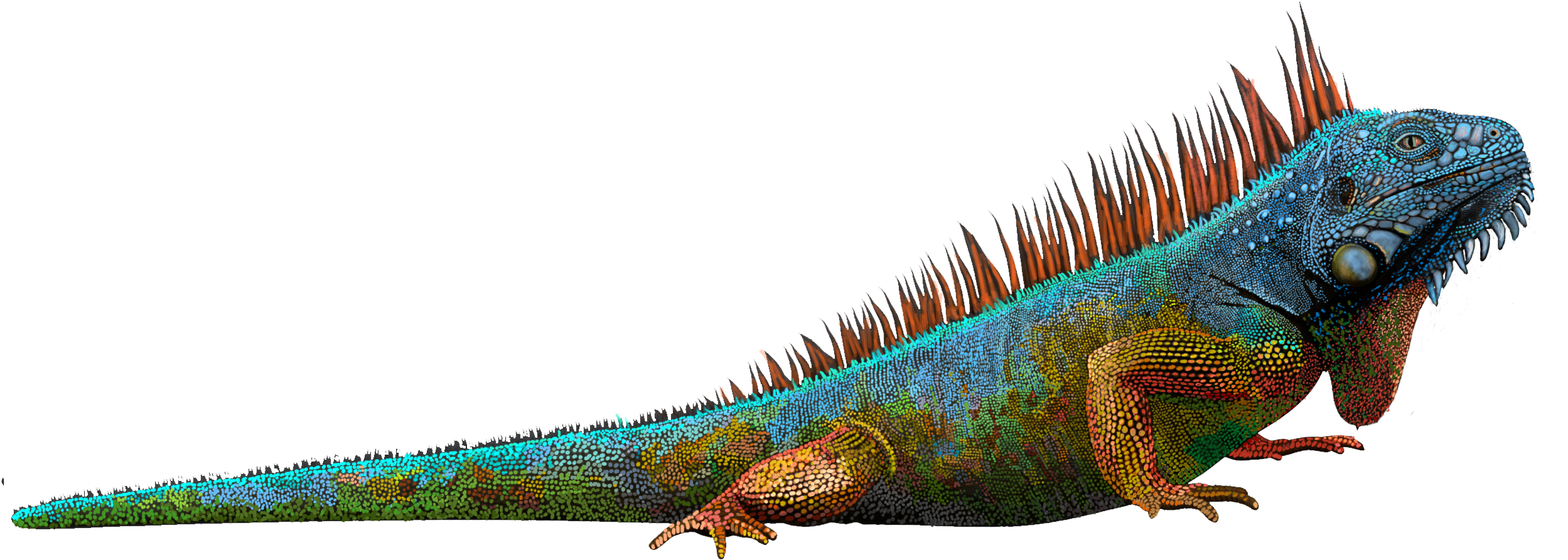 Cigarette Pack Png Amp Cigarette Pack Transparent Clipart,cigarettes - Green Iguana (3000x2100), Png Download