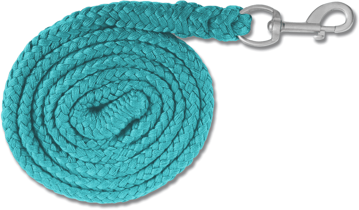 Transparent Lead Rope (1400x1600), Png Download