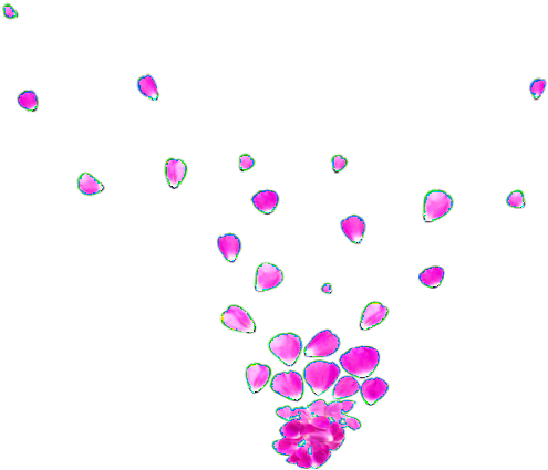 Flower Petal Png - Illustration (640x640), Png Download