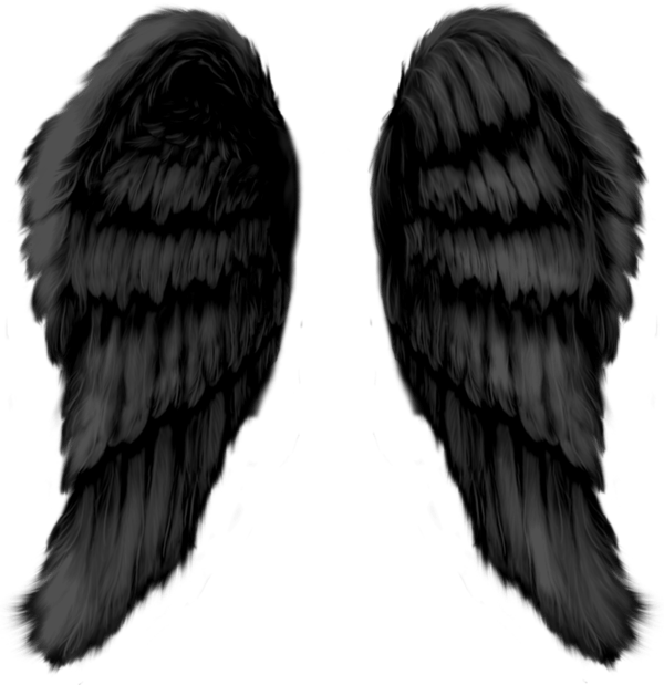 Angel Wings (600x619), Png Download