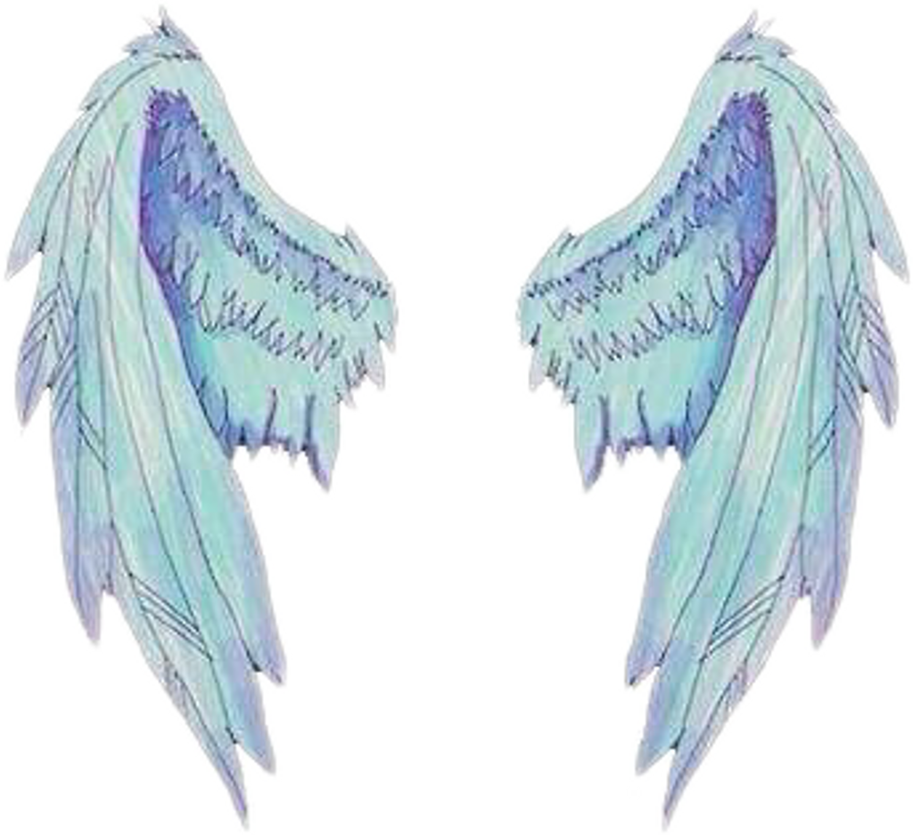 Wing Wings Asas White Angel Angelwings Overlay - Asas Na Parede (1024x937), Png Download