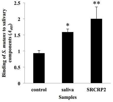 Adherence Of S - Graphic Design (903x344), Png Download
