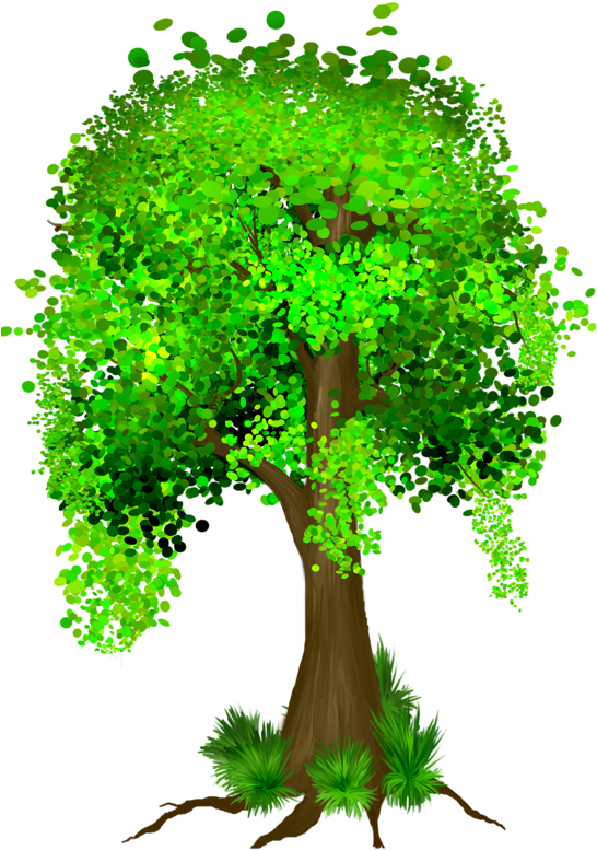 Cartoon Trees, Tree Houses, Tree Art, Trees To Plant, - Full Money Tree Clipart (566x800), Png Download