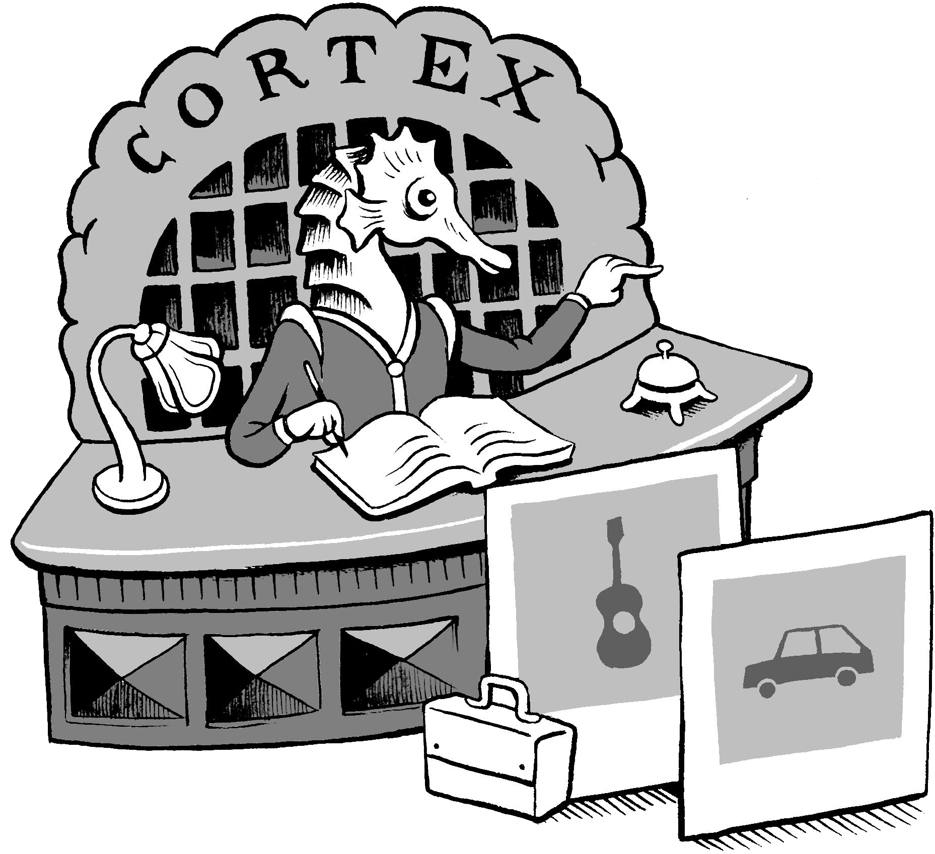 The Hippocampus Is A Seahorse Shaped Brain Structure - Cartoon (1897x1739), Png Download