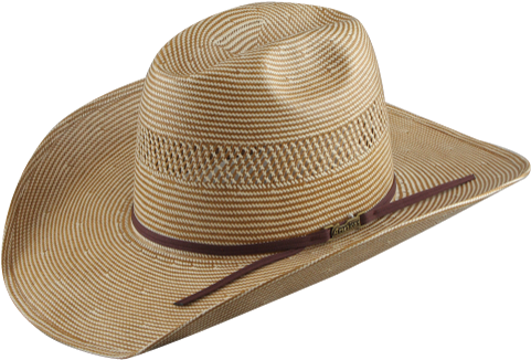 15* Punk Carter Signature Cowboy Hat - Fedora (600x600), Png Download
