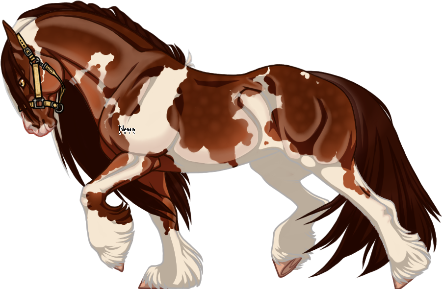 Sorrel (900x600), Png Download