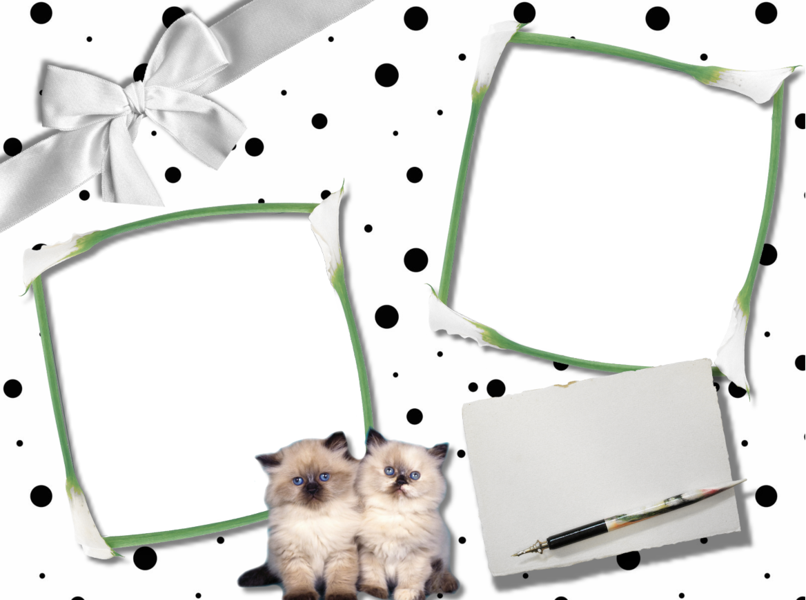 Groundhog (1168x870), Png Download