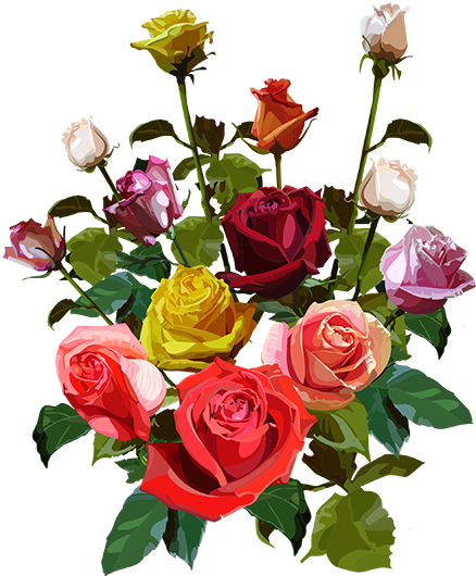 Flôres & Jardim E Etc - Big Bouquet Of Flowers (555x555), Png Download