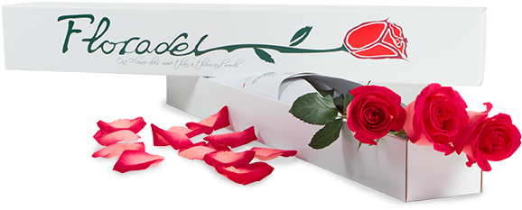 Completo” Y Si Obsequias Un Ramo De Rosas Rojas Más - Garden Roses (648x604), Png Download