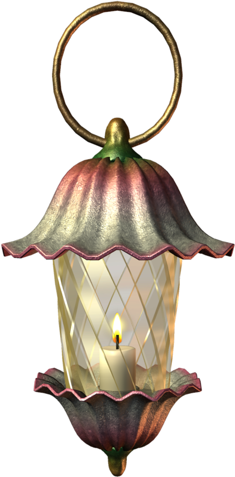 Fairy Lantern Png (571x1024), Png Download