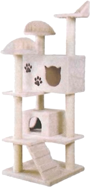 Shelf (800x800), Png Download