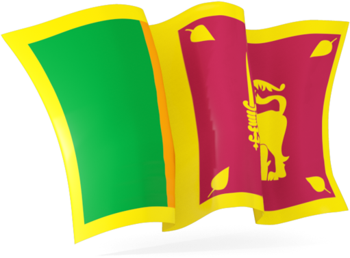 Sri Lanka Flag Moving (640x480), Png Download