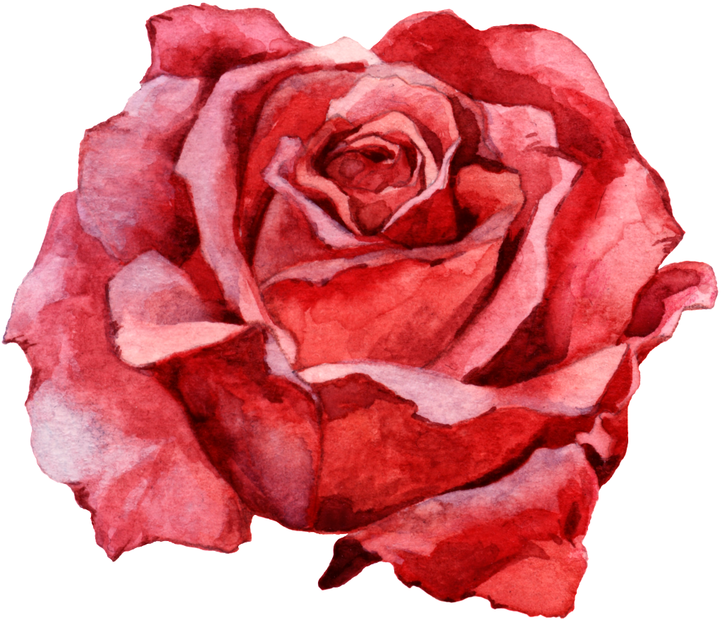 Hand Painted A Delicate Rose Png Transparent - Portable Network Graphics (1024x880), Png Download