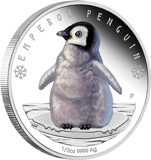2017 1/2oz Polar Babies Silver Proof Coin - Emperor Penguin Coin Uk (624x652), Png Download
