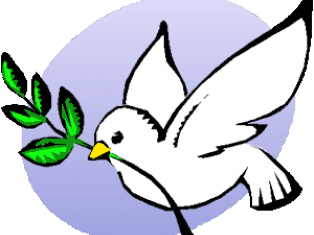 Peace Dove Clipart Fig Leaf - Dove With A Leaf (640x480), Png Download