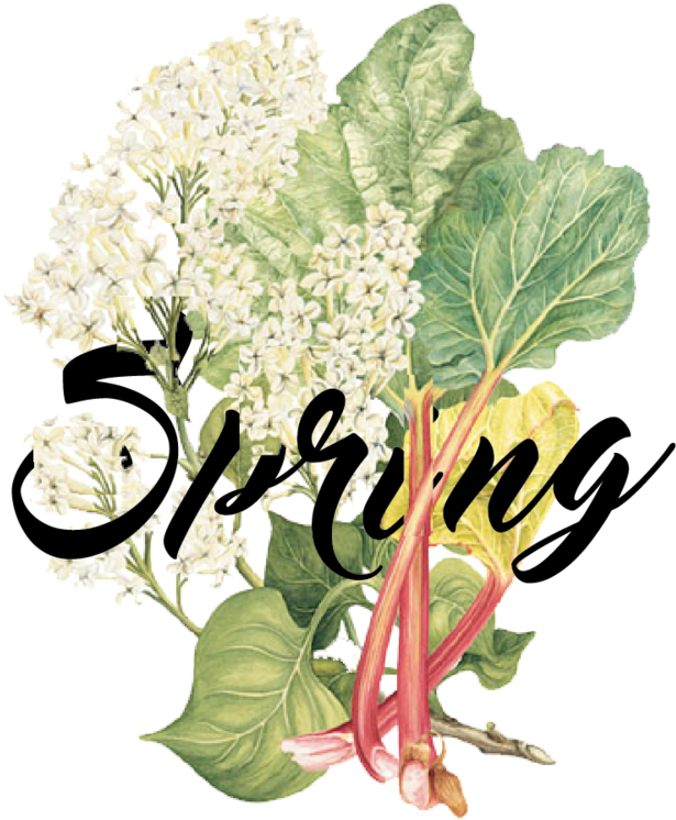 Seasons -04 - Chard (1000x893), Png Download