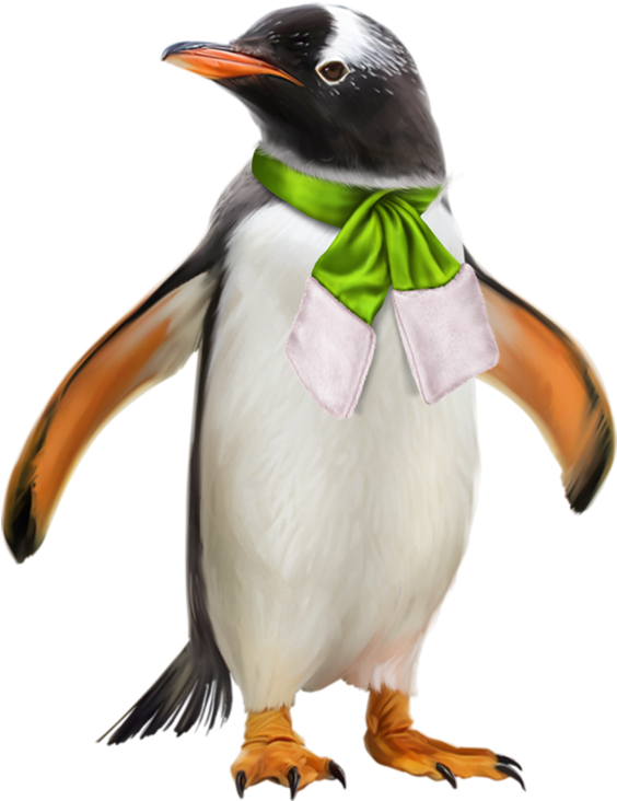 Banner Transparent Image Result For Penquin And Polar - Gentoo Penguin (563x800), Png Download