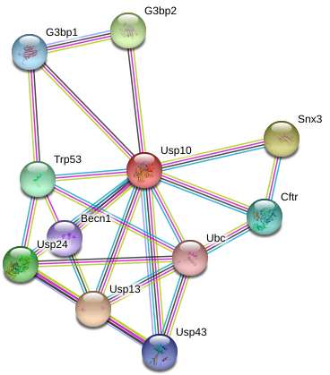 Circle (976x454), Png Download