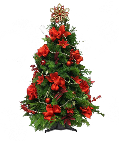 O Christmas Tree - Маленькая Ёлочка (600x600), Png Download