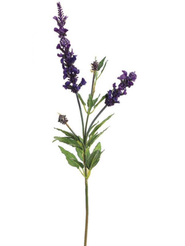 22" French Lavender Spray Purple - English Lavender (800x800), Png Download
