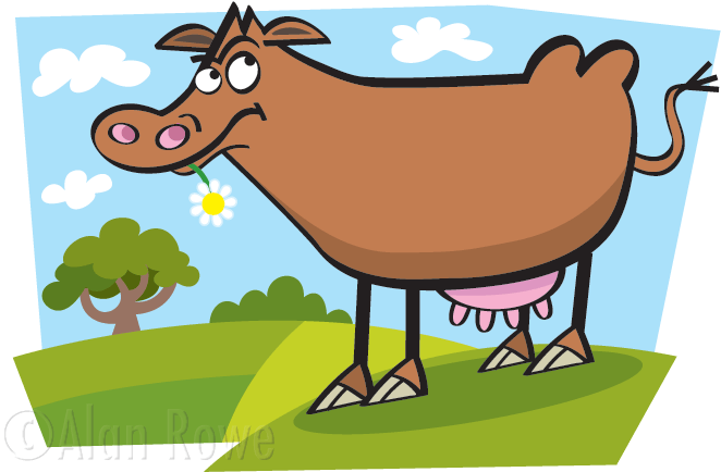 Cow Cartoon - Cartoon (804x507), Png Download