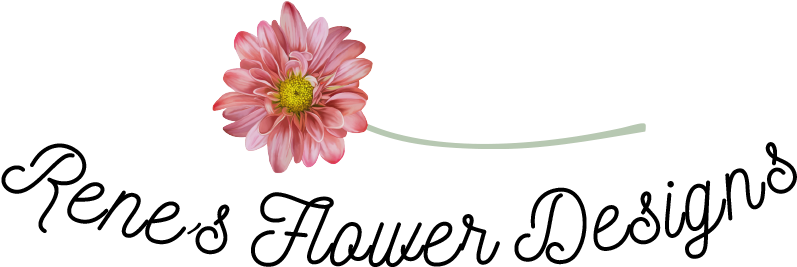 Renes Flower Designs - Barberton Daisy (900x430), Png Download