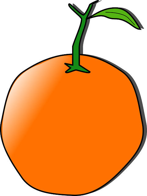 Food, Fruit, Outline, Pena, Cartoon, Orange, Cartoons - Orange Clip Art (481x640), Png Download