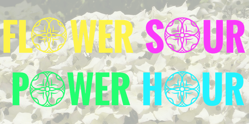 Flower Sour Power Hour - Cluster Of Blooming Dogwood, For The Love Your Thoughts, (800x400), Png Download