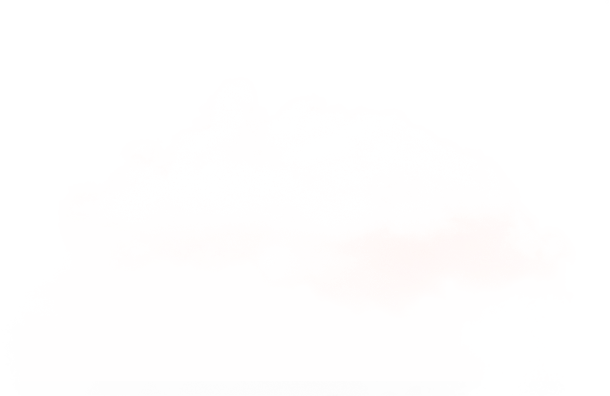 Plate (1988x1290), Png Download