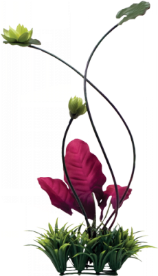 Nature-inspired Fluval Chi Lily Pad And Plant Grass - Fluval Chi Lily Pad And Plant Grass Ornament (400x400), Png Download