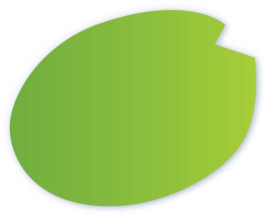 Download Lily Pad Clipart Pond Life Pond Leaf Clipart Png Png Image With No Background Pngkey Com