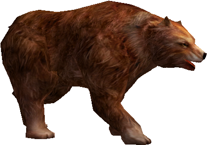 Brown Bear (430x300), Png Download