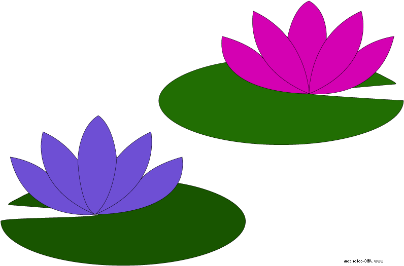 Go Back Gallery For Lily Pad Flower Clipart - Lilly Pad Clip Art (822x567), Png Download